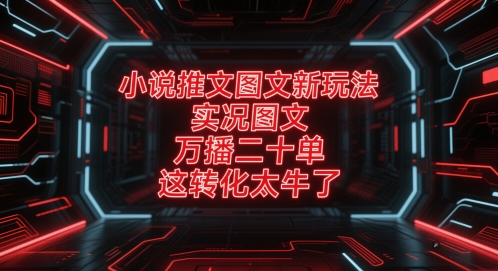 小说推文图文新玩法，实况图文，万播二十单，这转化太牛了！-启学项目网