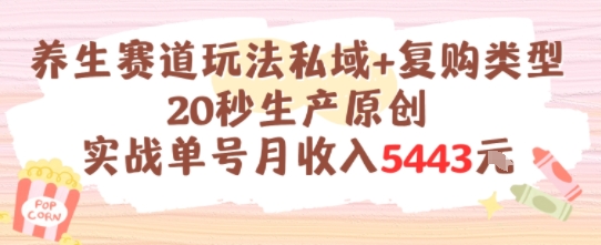 养生赛道玩法私域+复购类型，20秒生产原创实战单号月收入5k+-启学项目网