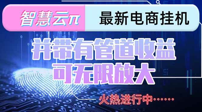 智慧云π电脑挂机单机每天收益300—500+ 并带有团队管道收益 可无限放大-启学项目网
