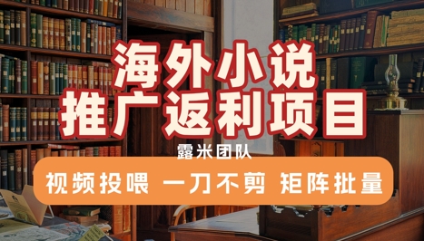 海外小说推广返利项目，视频投喂， 一刀不剪，矩阵批量-启学项目网