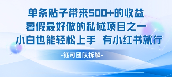 单条贴子带来5张的收益，暑假最好做的私域项目之一，小白也能轻松上手，有小红书就行-启学项目网