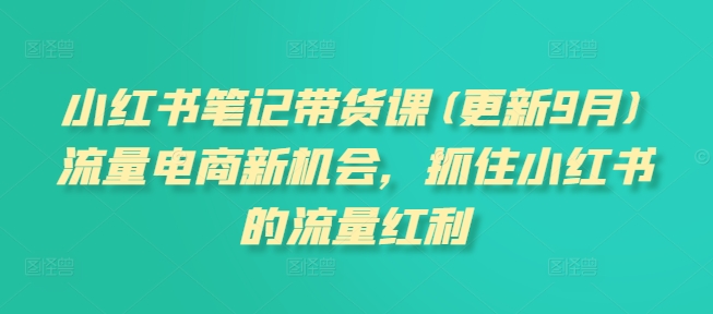 小红书笔记带货课(更新25年9月)流量电商新机会，抓住小红书的流量红利-启学项目网